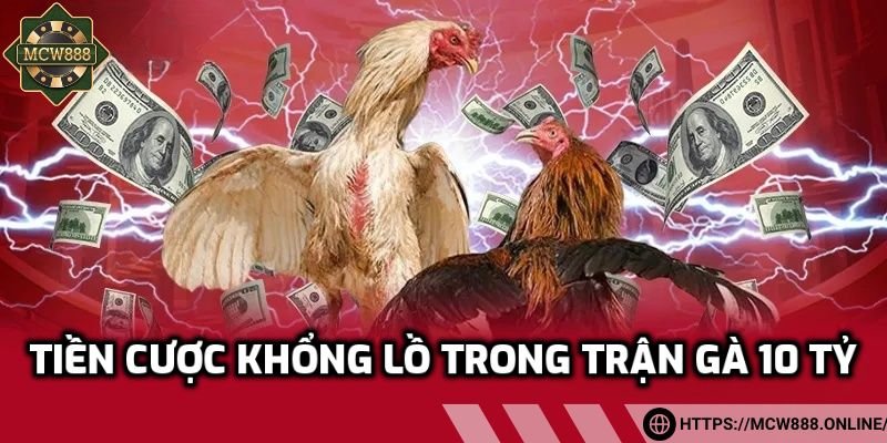 Tiền cược khổng lồ trong trận gà 10 tỷ